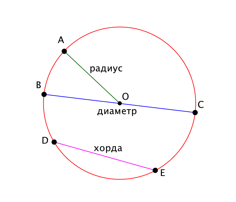 Circle radius. Окружность радиус диаметр хорда. Круг радиус диаметр хорда. Окружность радиус хорда диаметр круг. Окружность центр радиус хорда диаметр окружности.